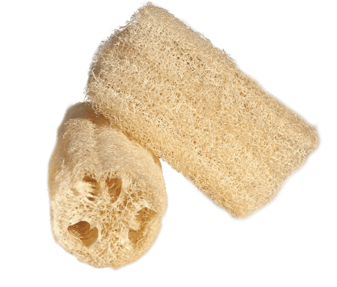 Duas buchas vegetais com suas fibras naturais e formato cilíndrico